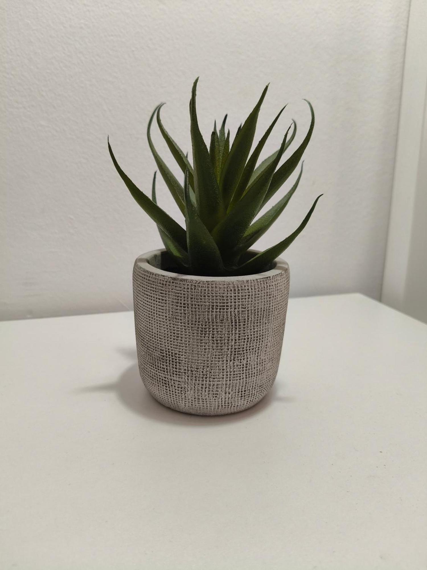 Apartament Familiar Tranquil A פלטחה ד'ארו מראה חיצוני תמונה